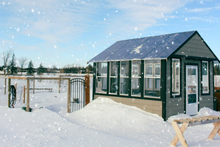 Building a DIY Greenhouse with a Solar Still for year-round Gardening