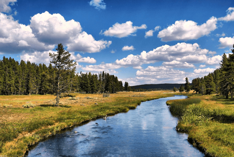 Easy Steps to Making Safe Drinking Water from Streams and Rivers