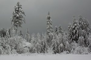 How to Protect Your Batteries from Freezing in Cold Weather