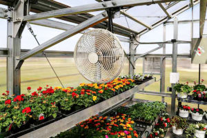 The Importance of Ventilation and Air Circulation in Your Greenhouse